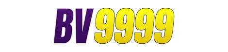pkbv9999.com Logo